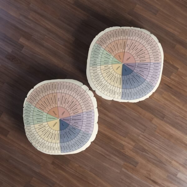 Feelings Wheel Round Floor Pillow (Modern) - Image 4